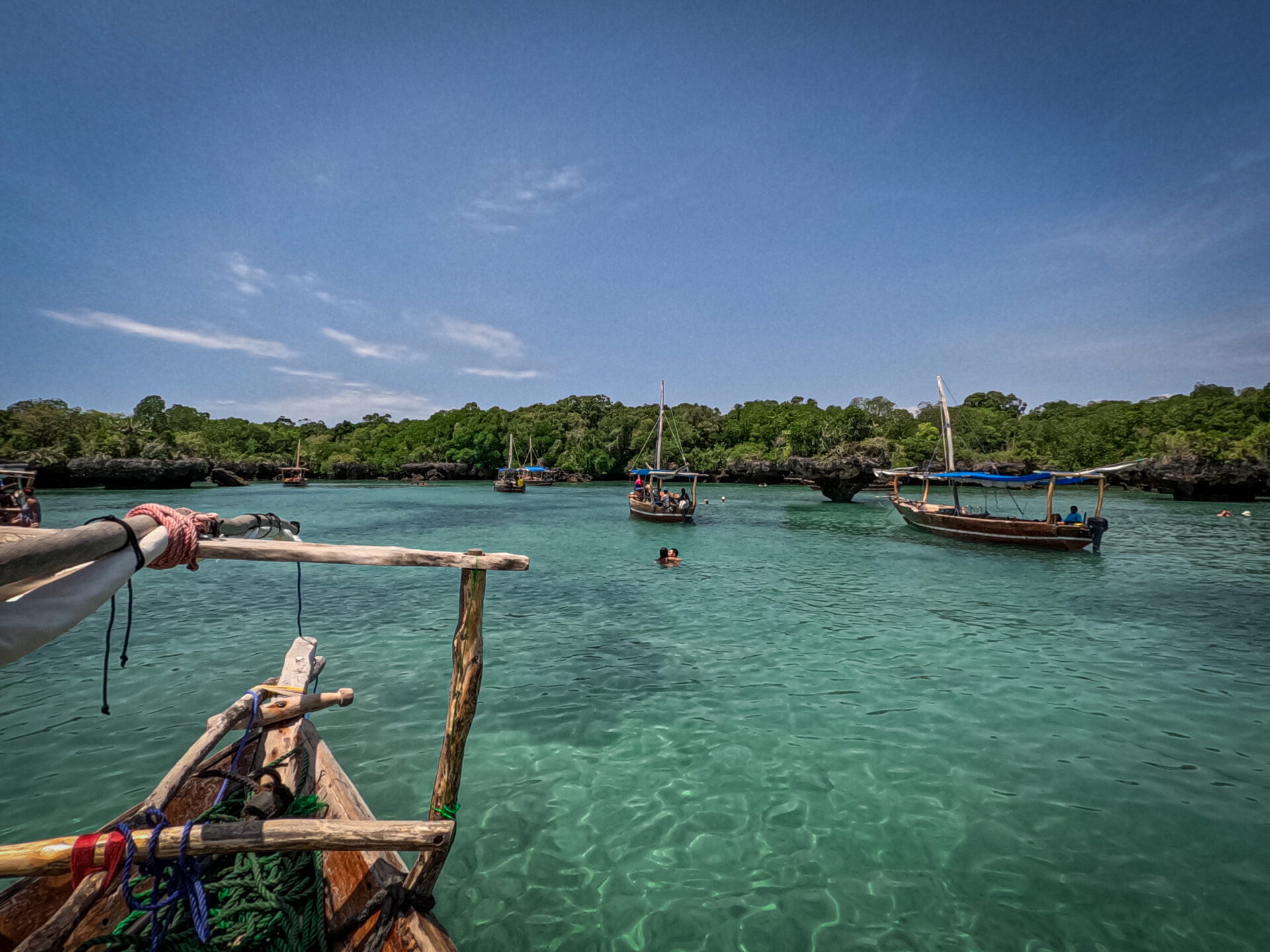 Roadtrip en Tanzanie – Zanzibar – Jour 7 : Safari aquatique